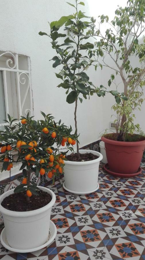 Demetra Bed & Breakfast